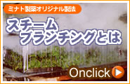 スチームブランチングとは?