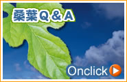 桑葉Q&A
