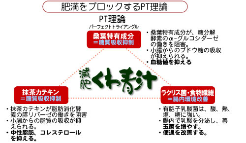 肥満をブロックするPT理論