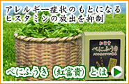 べにふうき(紅富貴)とは