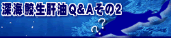[CL̖Q&A2