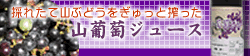 ̂ꂽĎR̂܂܂