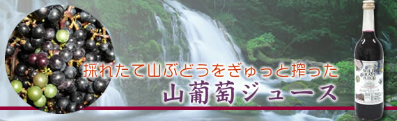 メタボリックシンドロームの予防にパロアッスル