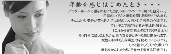 高周波・負電荷美容器 美アニオン